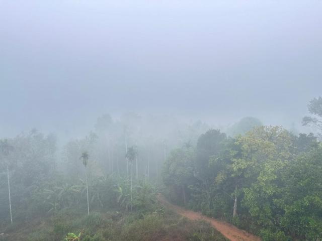 Wayanad Vista Service Apartment エクステリア 写真